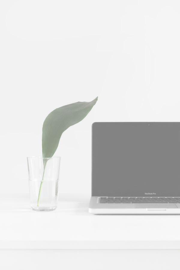 assistante virtuelle administratif